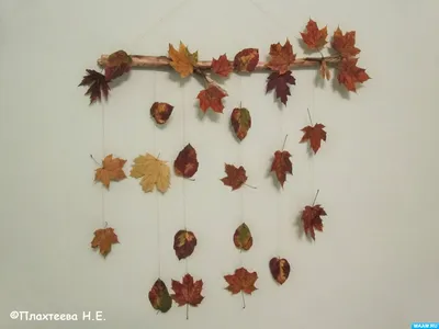 Шаблоны кленовых листьев (49 лучших фото)