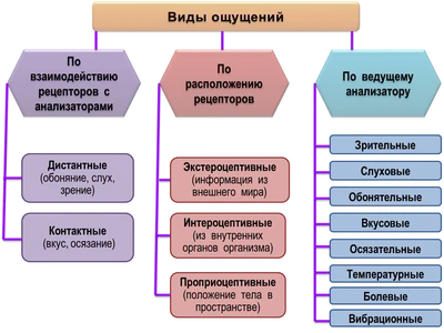 Ощущение и восприятие