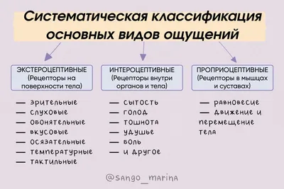 Презентация по психологии \"Ощущения, восприятия, представление, и их  изменение у инвалидов и лиц пожилого возраста\"