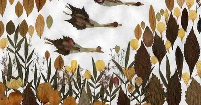 Ошибана. Картины из цветов и растений. Виды рукоделия – часть 5. | NT  HandМade | Дзен