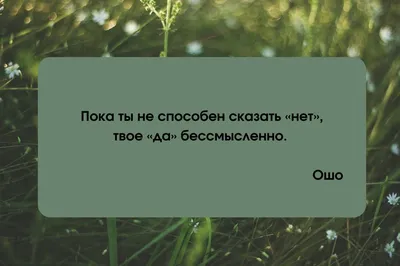 Ошо: Ошо Дзен Таро. Всеобъемлющая игра Дзен (брошюра + 79 карт в подарочной  упаковке): купить книгу в Алматы | Интернет-магазин Meloman