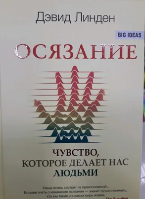 Осязание – как инструмент практики. | Читающим между слов... | Дзен