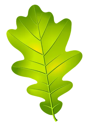 Купить Украшение Осенний лист зелений НУШ - цена от издательства Ранок  Креатив