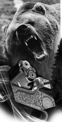 медведь оскал тату эскиз | Изображения медведей, Татуировки медведя, Медведь