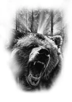 Кепка Снепбек Медведь (оскал медведя) с прямым козырьком 2, Унисекс WUKE  One size (ID#1820131258), цена: 350 ₴, купить на Prom.ua