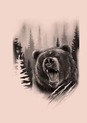 Модульная картина оскал медведя – ART-VEK