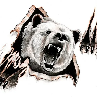 Наколка \"Оскал медведя\": все, что нужно знать перед татуировкой -  tattopic.ru