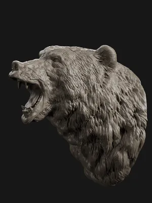 Оскал медведя - Работа из галереи 3D Моделей