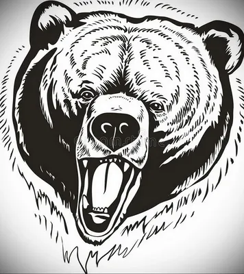 Нарды кожаные «Оскал медведя», средние