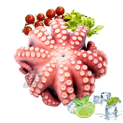 Осьминог средиземноморский большой 2-3 кг - Ocean Food