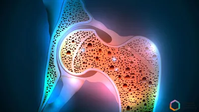 Микробиом кишечника и остеопороз