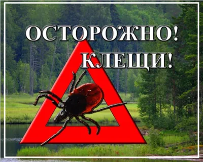 Лекция \"Осторожно - клещи!\"