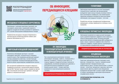 588 Знак Осторожно! Клещи! купить в Минске, цена