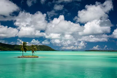 Панорама с воздуха на остров Бора Бора Бора Французская Полинезия Стоковое  Фото - изображение насчитывающей экзотическо, бирюза: 165638112