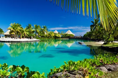 Остров Бора-Бора: рай на земле! | Поразительный мир | Дзен