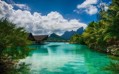 Бора-Бора фото: захватывающая дух красота острова - путешествия, остров,  французская полинезия, природа, курорт | Обозреватель | OBOZ.UA