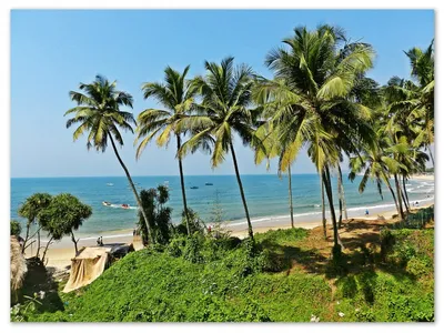 Гоа в Индии: 5 лучших райских пляжей на севере Индии RejsRejsRejs