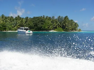 Туры на Мальдивы: прямой перелёт на райские острова.