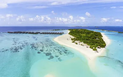 Бюджетные Мальдивы - локальный остров Dhiffushi (Диффуши). Осень 2022 •  Форум Винского