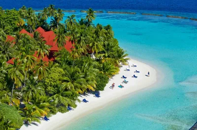 Что посмотреть на Мальдивах: ☀️ ТОП-11 мест для посещения в 2024 году