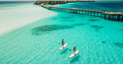 Мальдивы: ТОП-20 отелей с лучшими рифами | Ассоциация Туроператоров