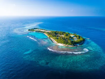 Планируем отпуск. Мальдивы или Сейшелы- какой курорт выбрать для отдыха?