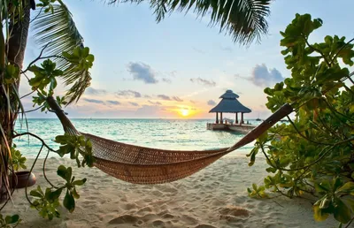 Новые отели 2023 года на Мальдивских островах: подборка хитов | Ассоциация  Туроператоров