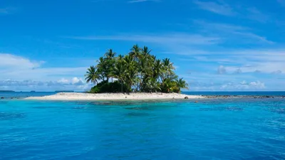 Скачать обои на рабочий стол бесплатно без регистрации в формате 1920x1080.  Остров в океане. Острова, вода, пальмы, небо, синий.