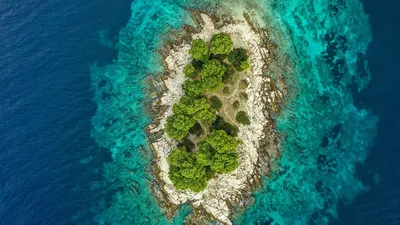 Обои остров, океан, вид сверху, вода, деревья картинки на рабочий стол,  фото скачать бесплатно