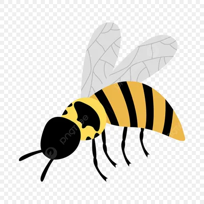 Пчёлы и осы эстетика» — создано в Шедевруме
