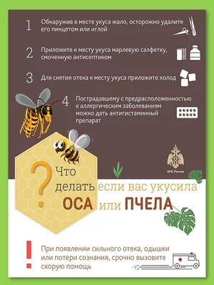 Недооцененная опасность. Что делать, если укусила оса или пчела | Вслух.ru
