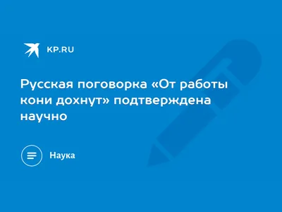 Нашивка на липучке \"От Работы Кони Дохнут\", черный - купить в  Санкт-Петербурге всего за 290 руб | M65-casual