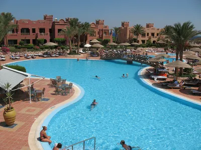 Отдых в Египте: что учесть при выборе курорта и отеля | Статьи по туризму  от Турпрома