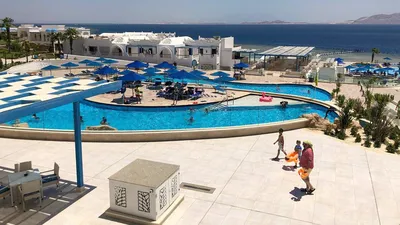 Мини-гайд по отелям для взрослых в Египте: где искать и сколько стоят туры  | Ассоциация Туроператоров