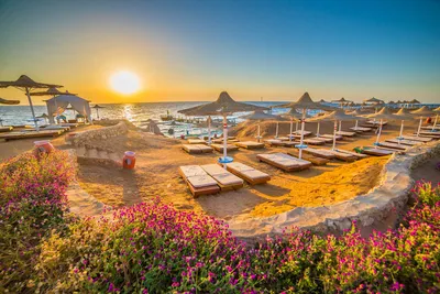 Отдых в Египте: особенности каждого из главных курортов популярной страны -  Отпуск