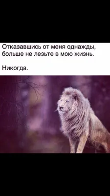 Отказавшись От Меня Однажды Не Лезьте | TikTok