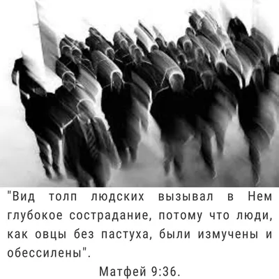 Pin by MEDEA MEDEA on Великие философы