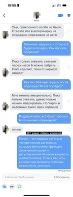 Три знака зодиака невозможно вернуть. Однажды отказавшись вы теряете их  навсегда. | Астролог Раянова Нади | Дзен