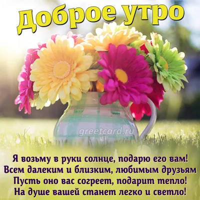 Букет цветов с рождением сына купить с доставкой по Томску: цена, фото,  отзывы.