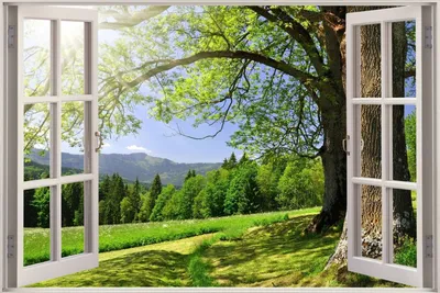 Открытое окно с видом на море, занавесам зеленого цвета Стоковое Фото -  изображение насчитывающей стекло, пояс: 186259488