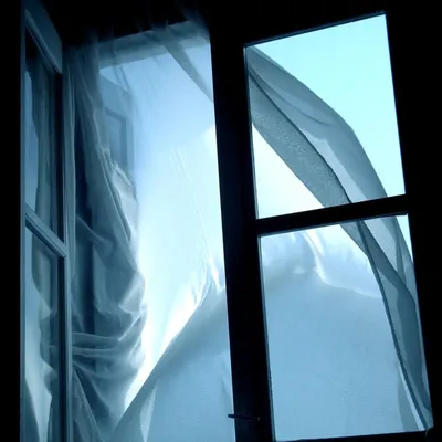 Зачем соседи круглосуточно не закрывают окна зимой в квартире. Эта история  меня поразила | 51 Меридиан | Дзен