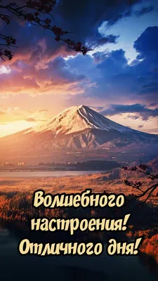 ХОРОШЕГО ВАМ ЧЕТВЕРГА. ПОЖЕЛАНИЯ ОТЛИЧНОГО ДНЯ В ЧЕТВЕРГ. КРАСИВАЯ  МУЗЫКАЛЬНАЯ ВИДЕО ОТКРЫТКА | Поздравления,открытки,пожелания | Дзен