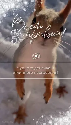 Открытка доброе утро и хорошего настроения — Slide-Life.ru