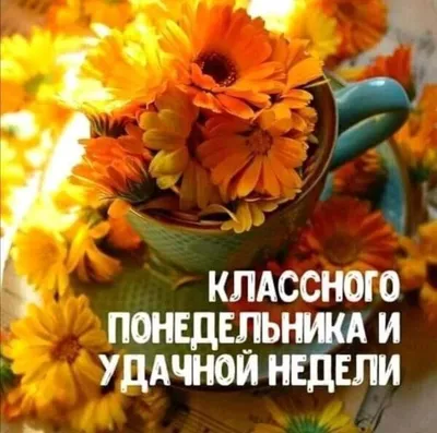 Удачного понедельника!!! Доброго утра!: vitaminka2012k — LiveJournal