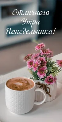 Доброе утро понедельника: фото на удачную неделю - pictx.ru