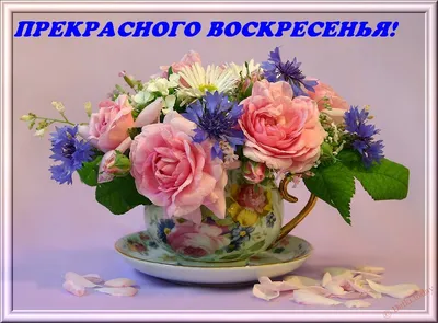 Красивая картинка доброго, уютного воскресенья - GreetCard.ru