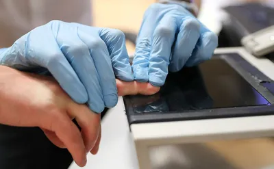 Узнайте, как образуются уникальные отпечатки пальцев человека – ученые  только что поняли процесс - Техно