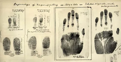 Отпечатки Пальцев — стоковая векторная графика и другие изображения на тему Отпечаток  пальца - Отпечаток пальца, Детектив, Отпечаток большого пальца - iStock