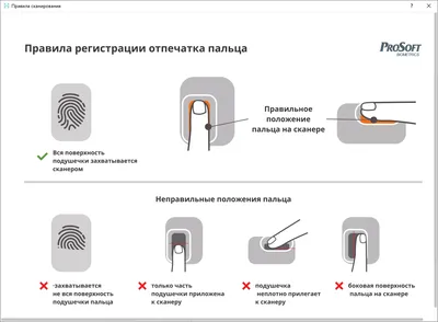 зажим для денег Отпечатки Пальцев только натуральная кожа купить