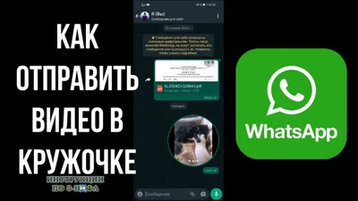 Как отправить Видеосообщение в кружочке в ватсапе, как сделать видео в  кружочке в Whatsapp - YouTube